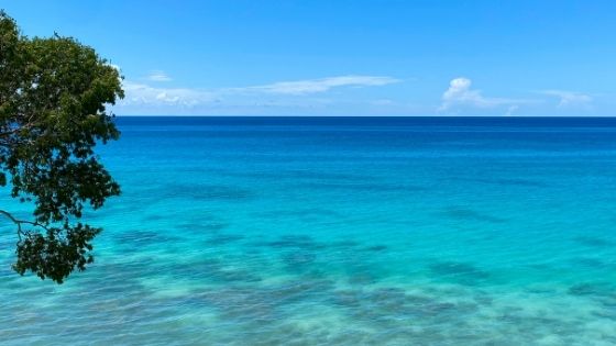 whats-daily-life-like-working-in-barbados